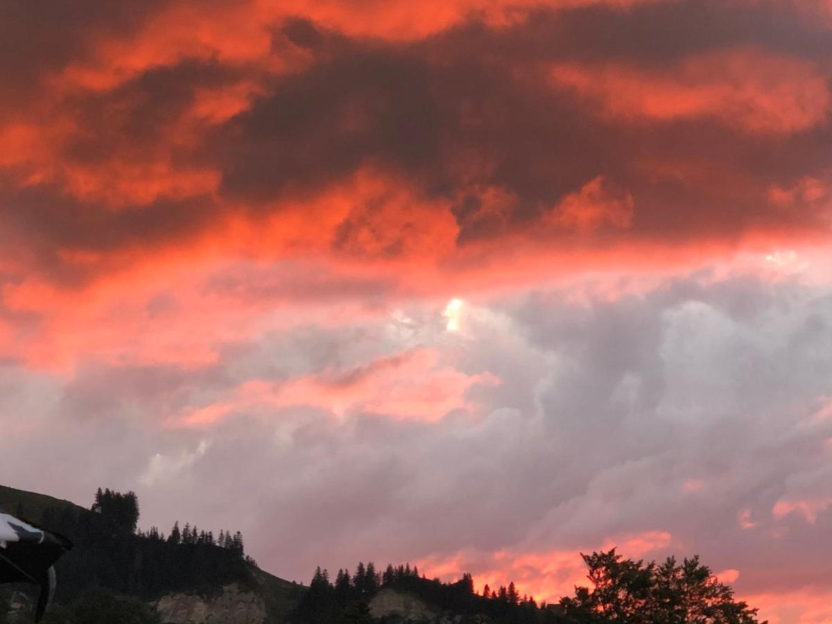 Montlinger Schwamm Otel Oberriet Dış mekan fotoğraf