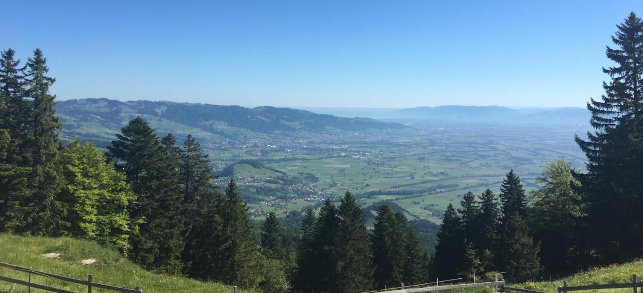 Montlinger Schwamm Otel Oberriet Dış mekan fotoğraf